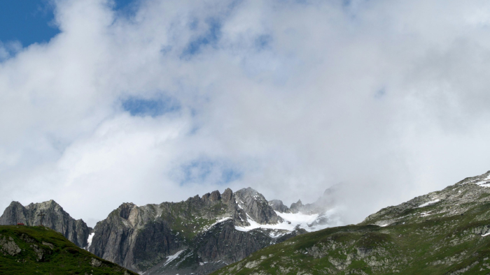 Turning underused resources into sustainable economic assets_Maarten Brakkee_Unsplash